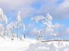 Winter 3 - (c) E Rockstroh.jpg